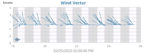 Wind Vector