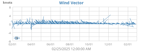 Wind Vector